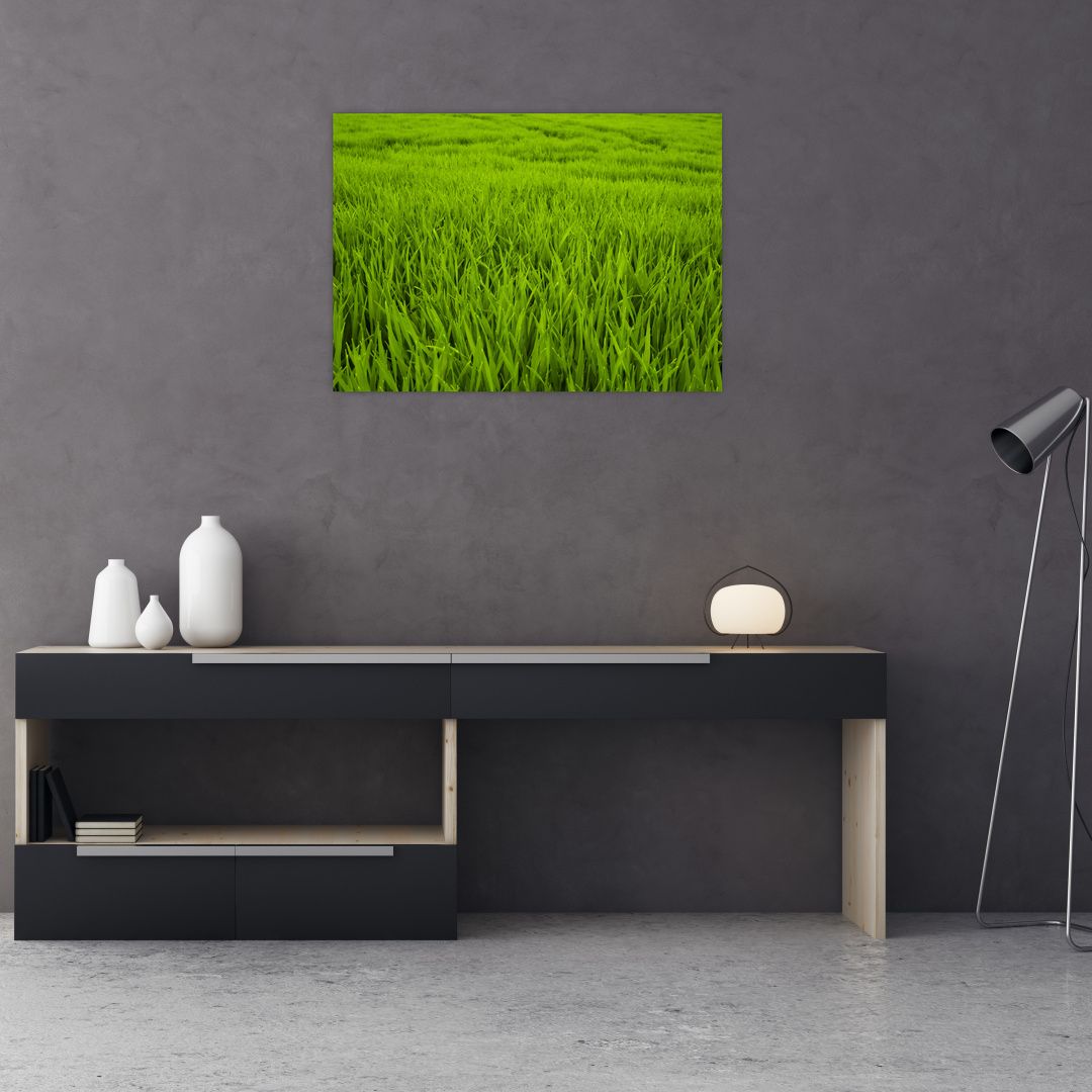 Skleněný obraz trávy (V020340V7050GD)