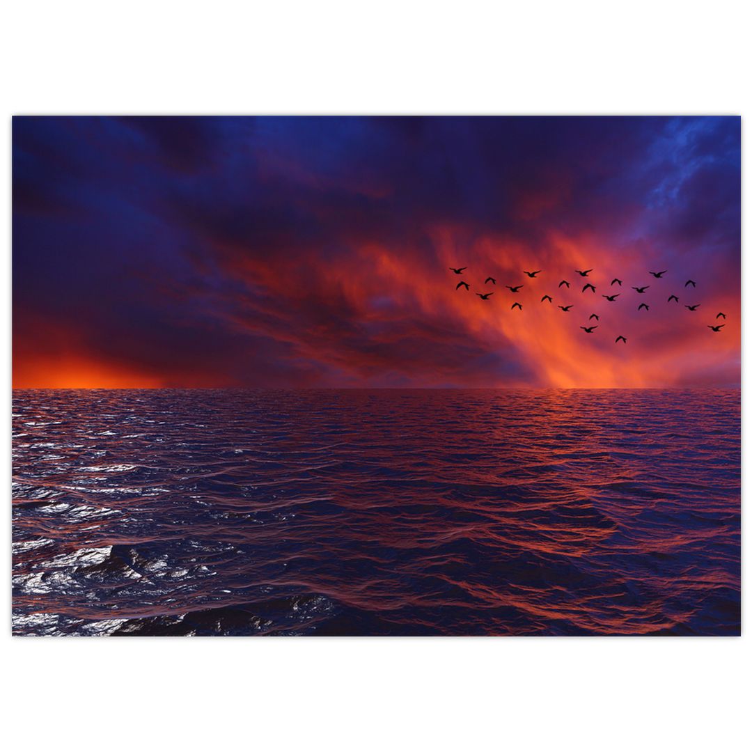Skleněný obraz moře s ptáky (V020351V7050GD)