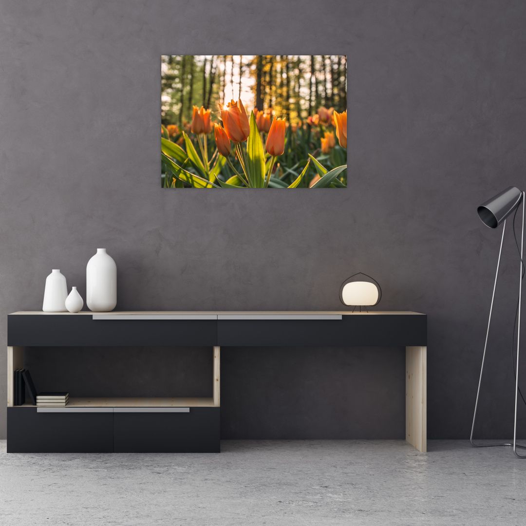 Skleněný obraz - oranžové tulipány (V020552V7050GD)