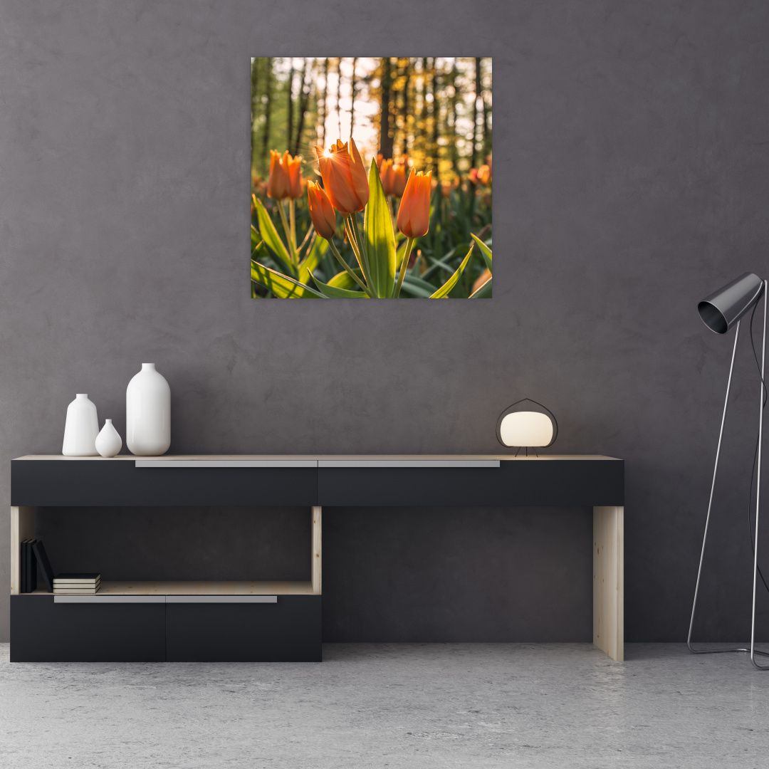 Obraz - oranžové tulipány (V020552V7070)