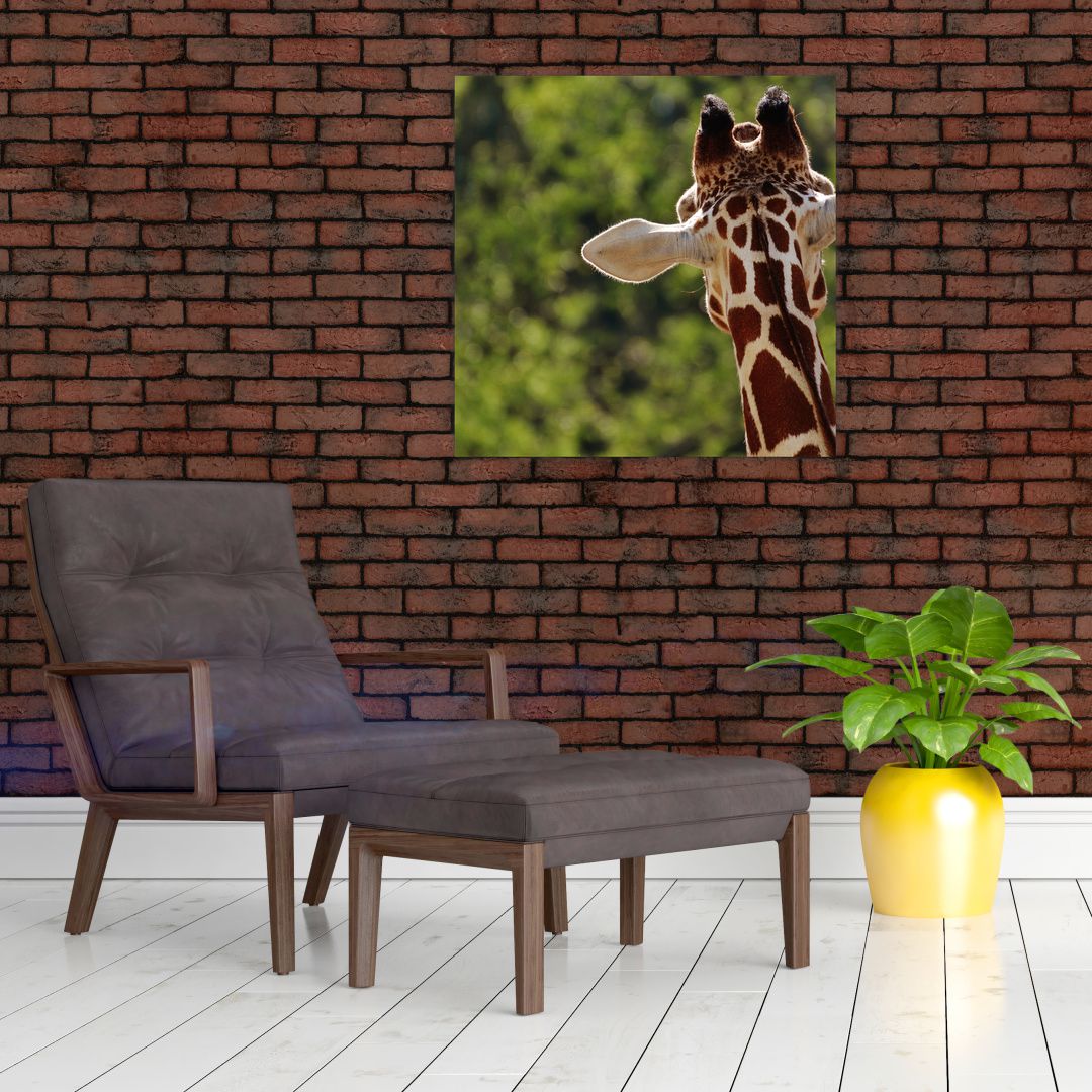Obraz žirafy zezadu (V020638V7070)