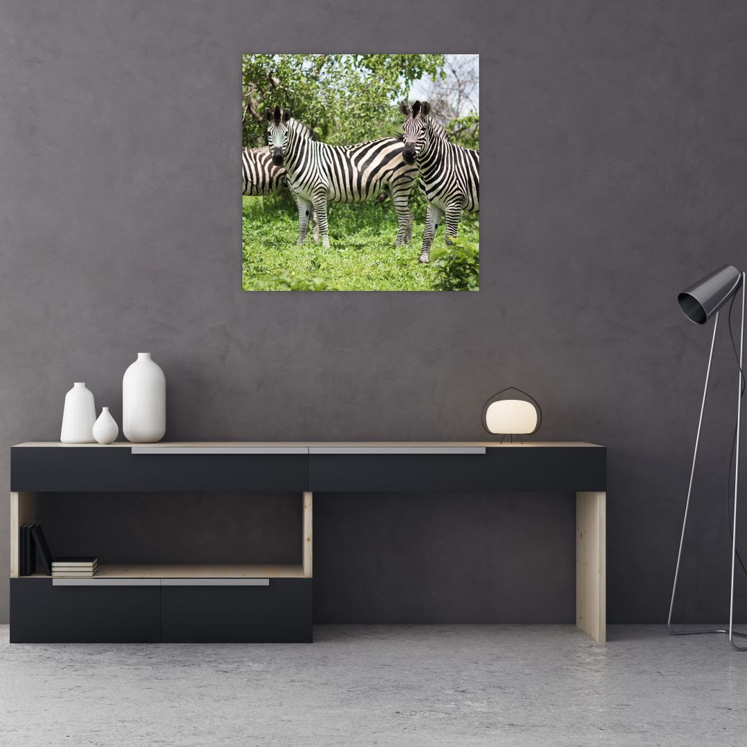 Obraz s zebrami (V020921V7070)