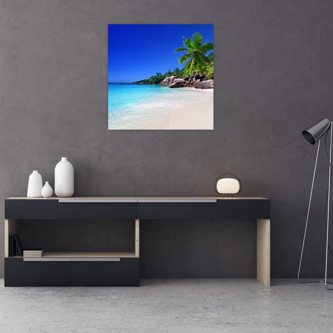 Obraz pláže na Praslin ostrově (V020936V7070)