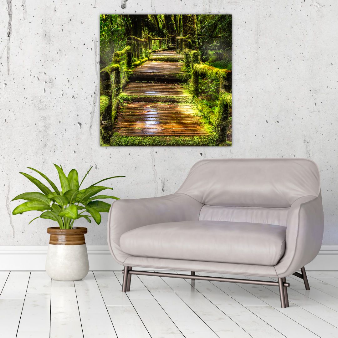 Obraz schodů v deštném pralese (V020941V7070)