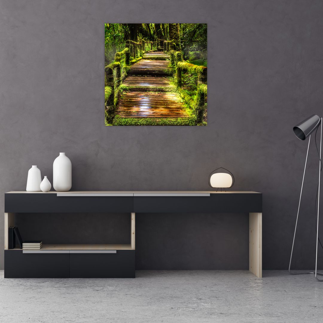 Obraz schodů v deštném pralese (V020941V7070)