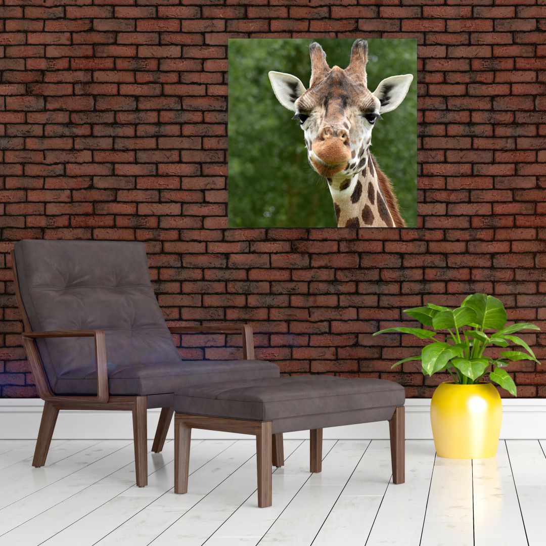 Obraz žirafy (V020969V7070)