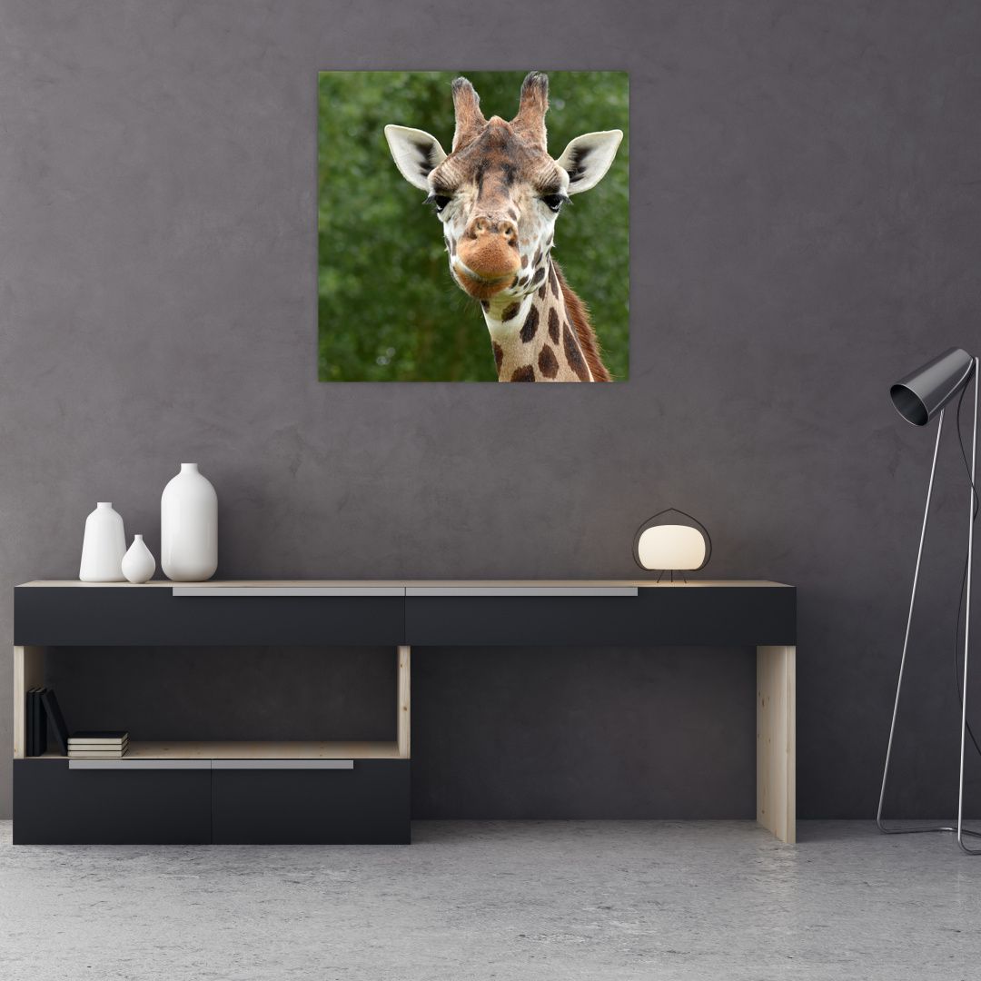 Obraz žirafy (V020969V7070)