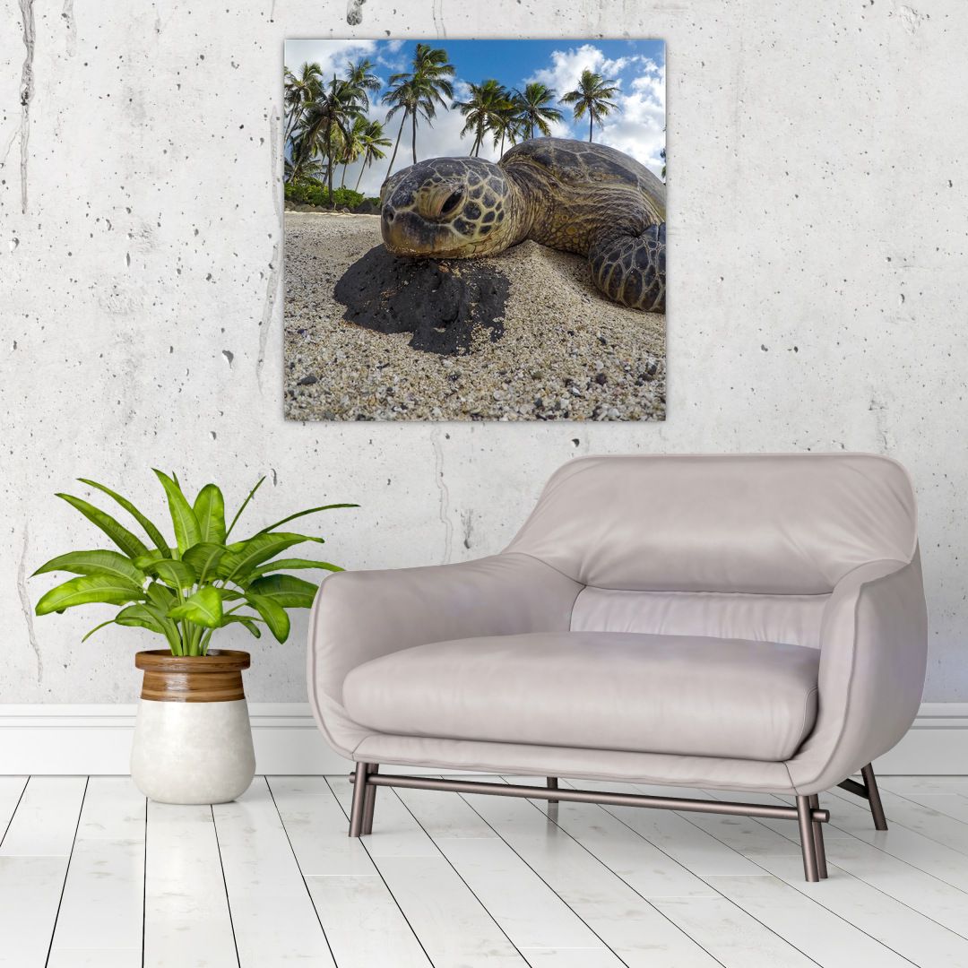 Obraz želvy (V020992V7070)