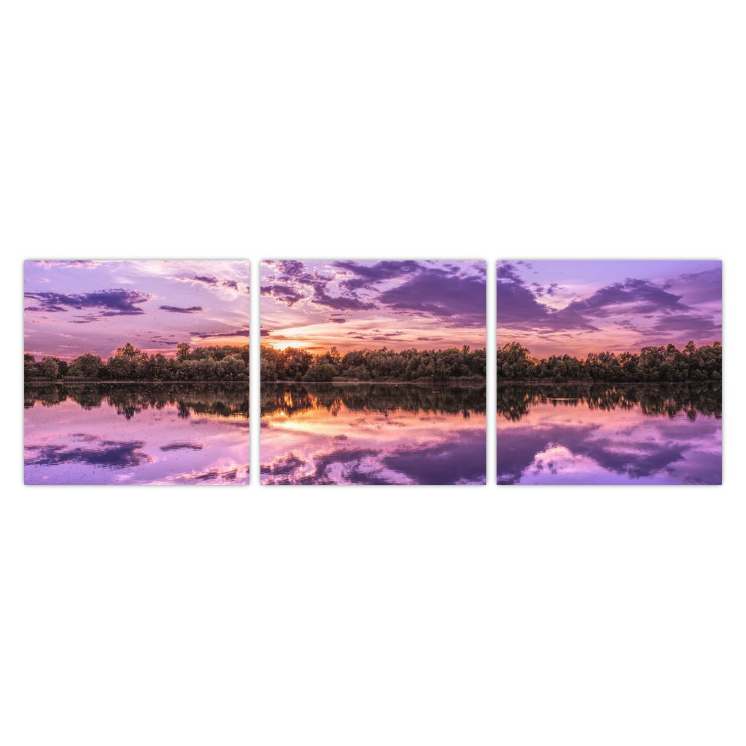 Obraz fialového nebe (V020537V9030)