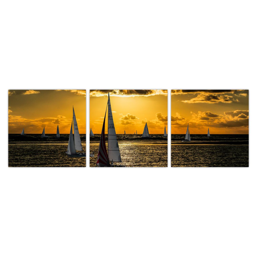 Obraz jachty v západu slunce (V020580V9030)