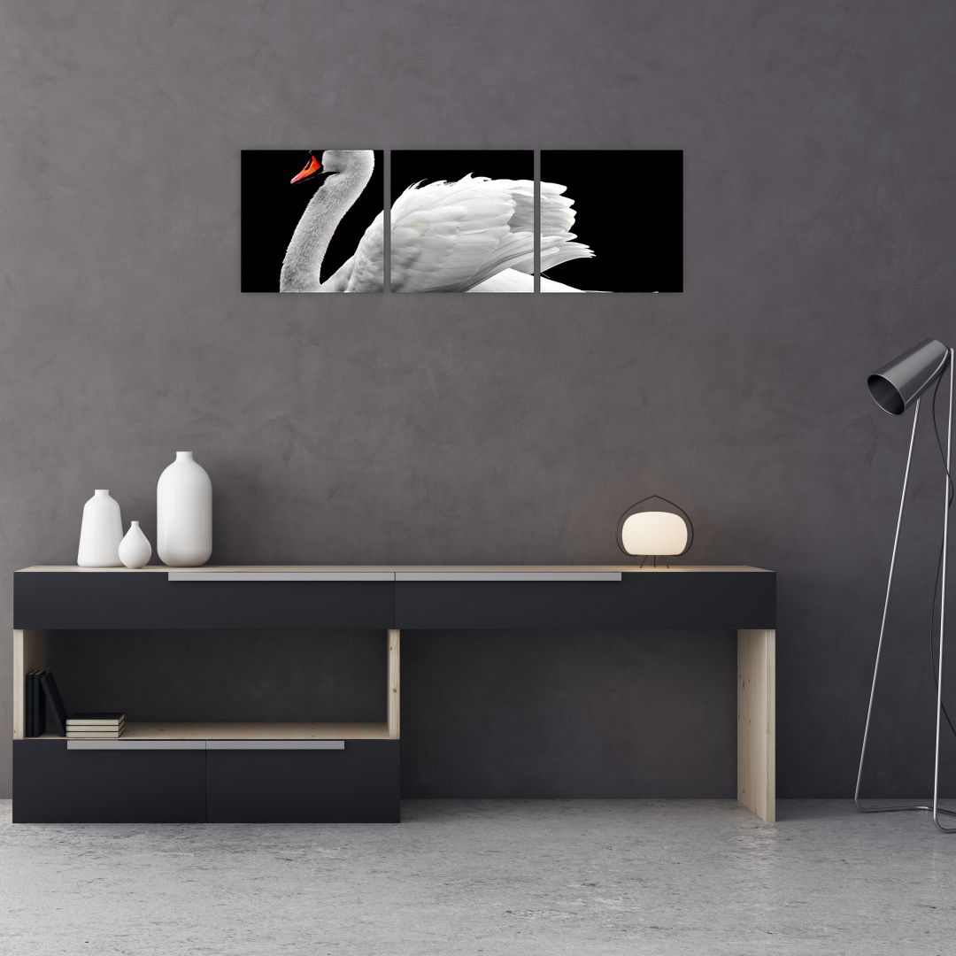 Obraz černobílé labutě (V020586V9030)