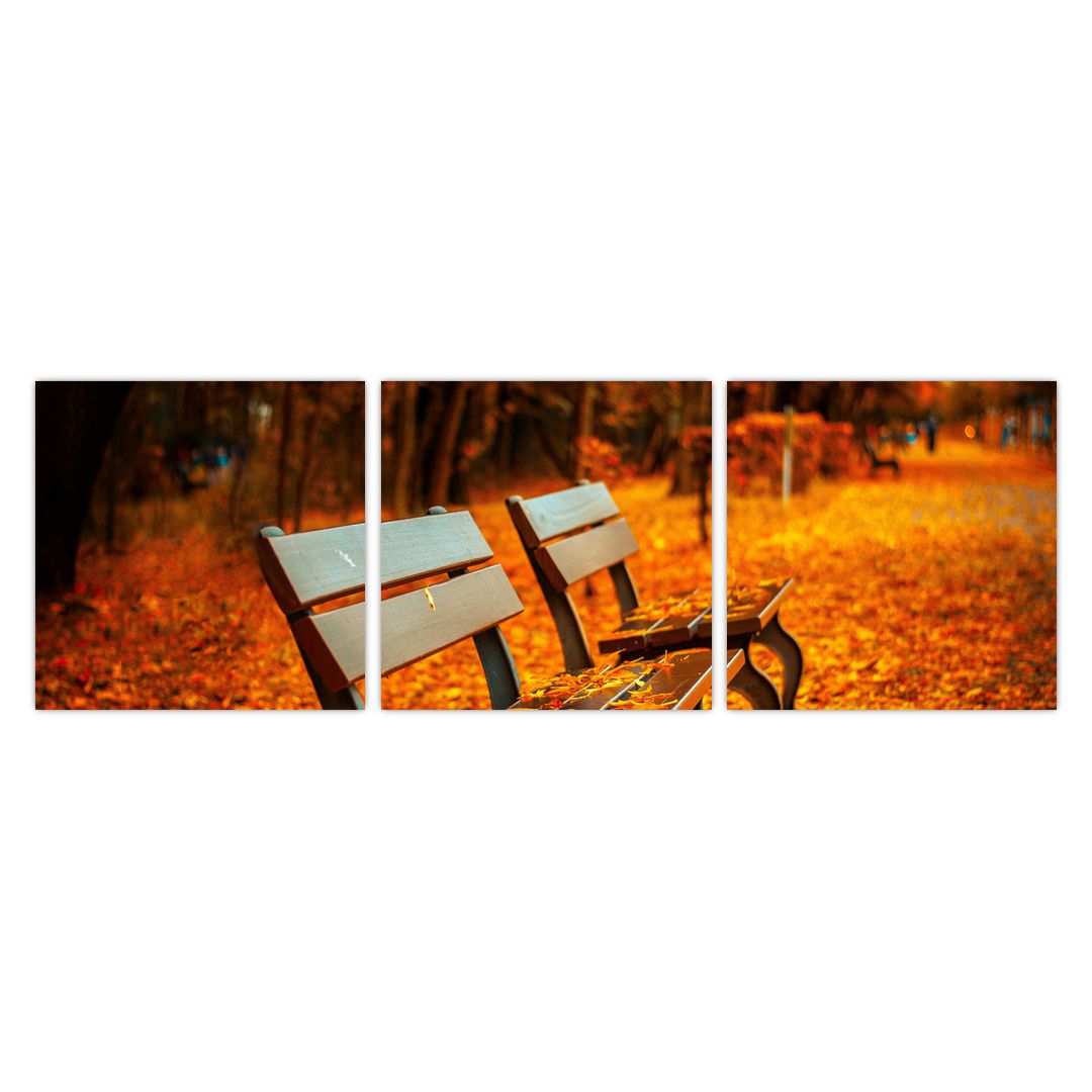 Obraz lavičky v podzimu (V020588V9030)