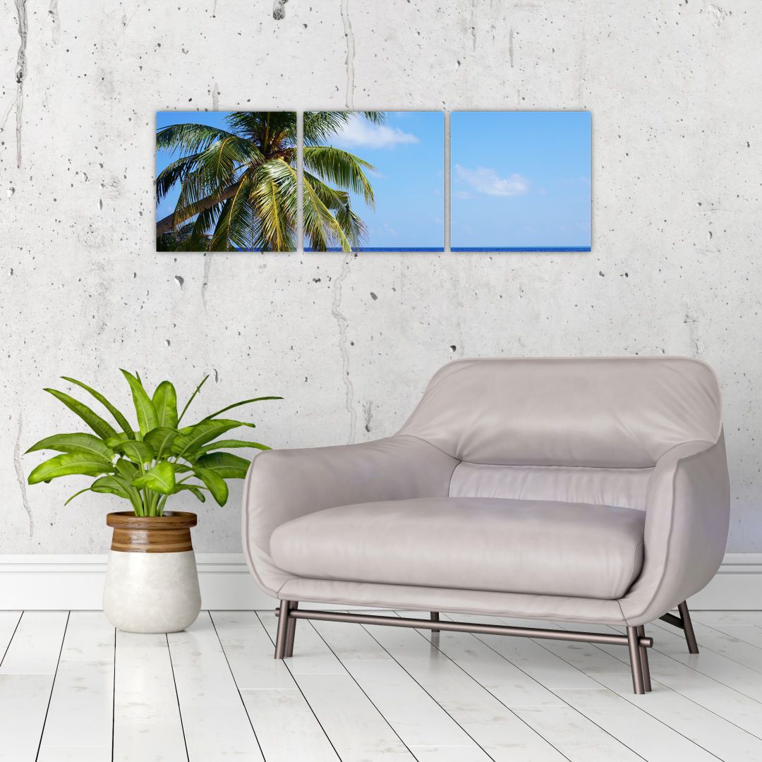 Obraz palmy na pláži (V020612V9030)