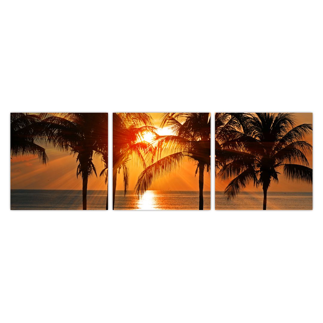 Obraz palmy v západu slunce (V020622V9030)