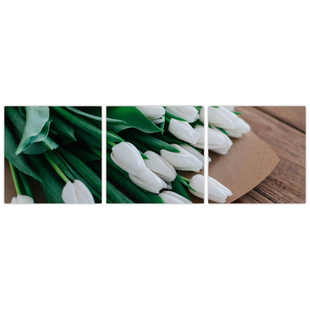Obraz kytice bílých tulipánů (V020922V9030)