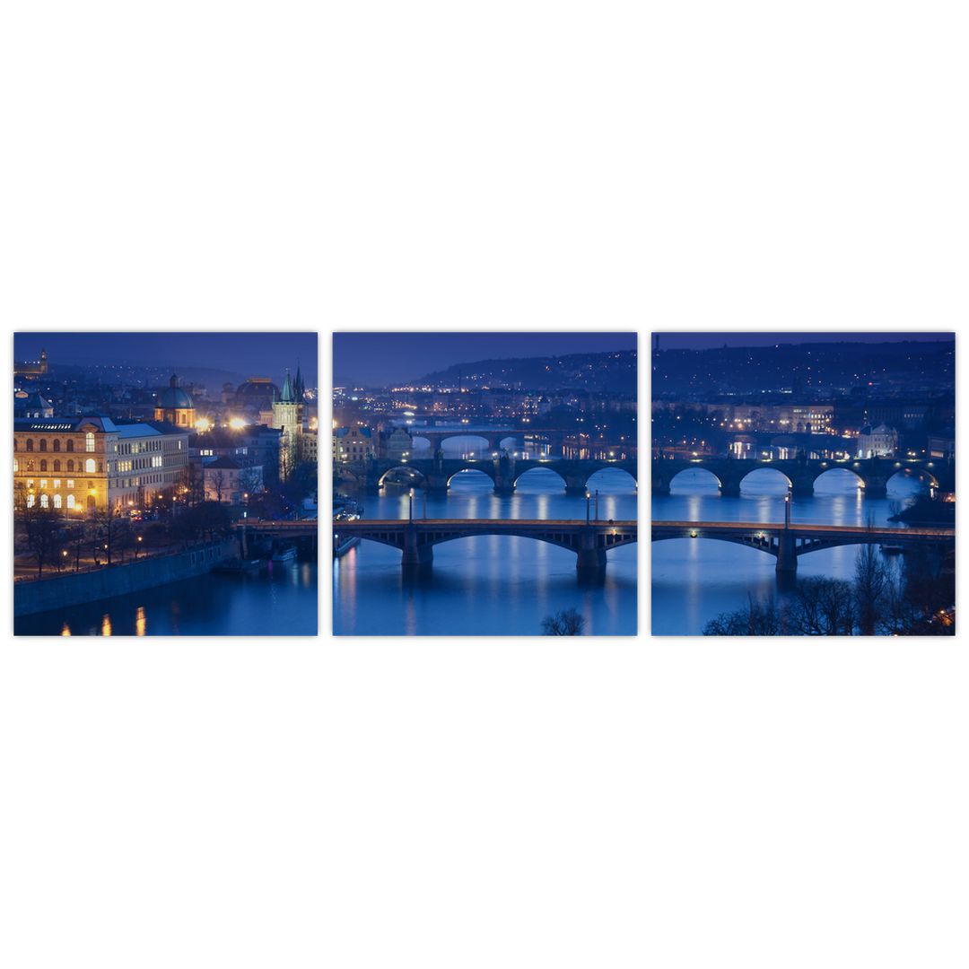 Obraz pražských mostů (V020932V9030)