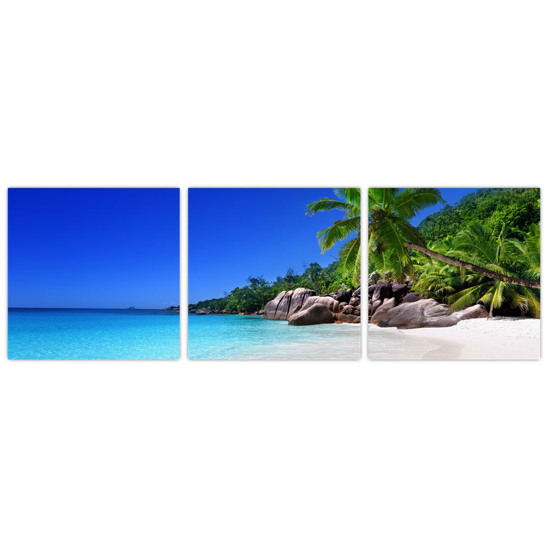 Obraz pláže na Praslin ostrově (V020936V9030)