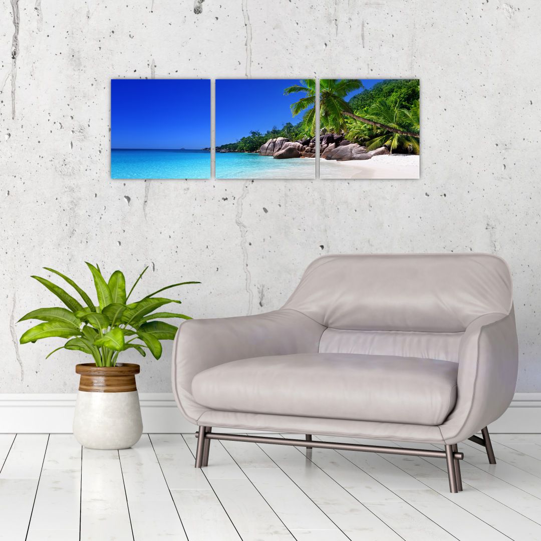 Obraz pláže na Praslin ostrově (V020936V9030)