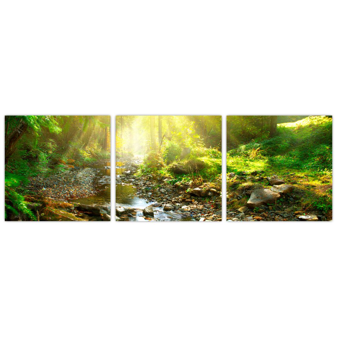 Obraz řeky v zeleném lese (V020942V9030)