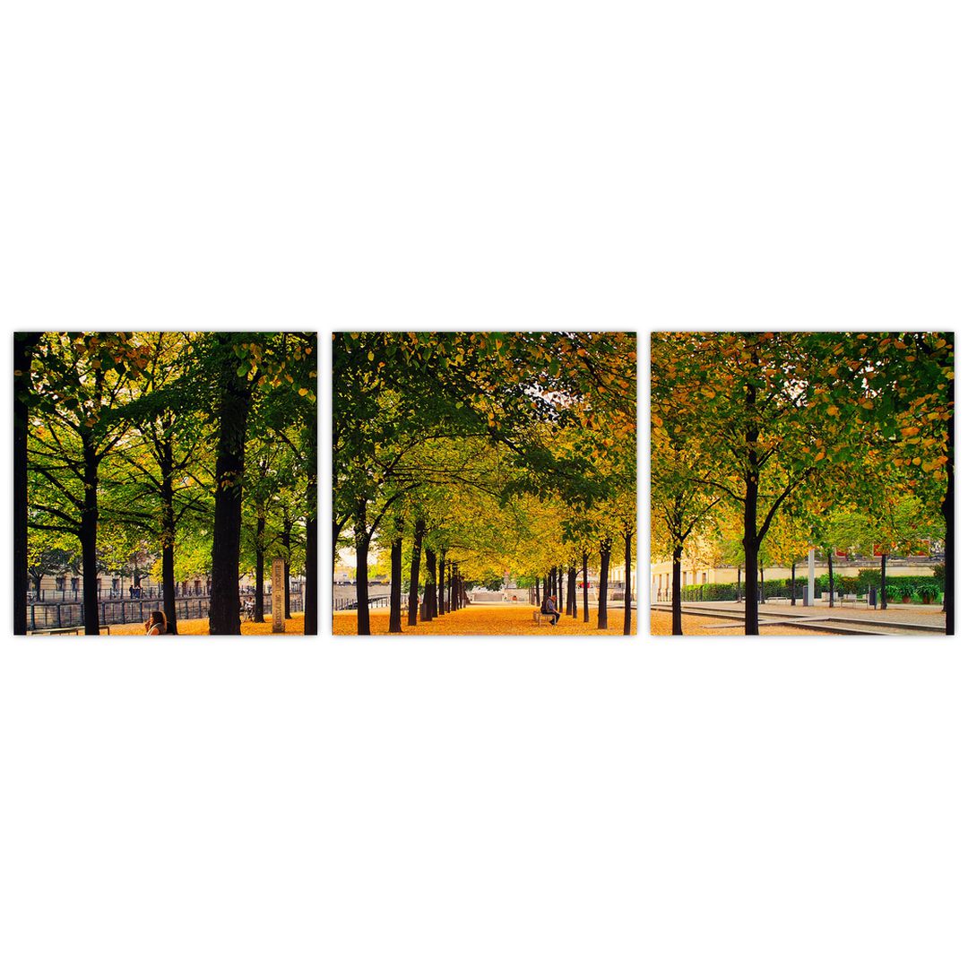 Obraz aleje podzimních stromů (V020953V9030)