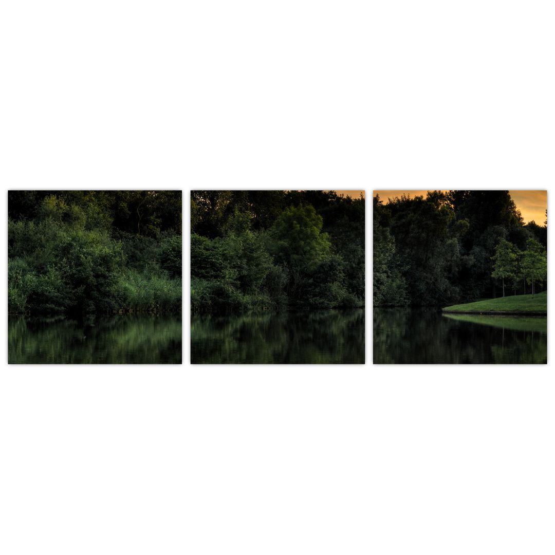Obraz jezera u lesa (V020974V9030)