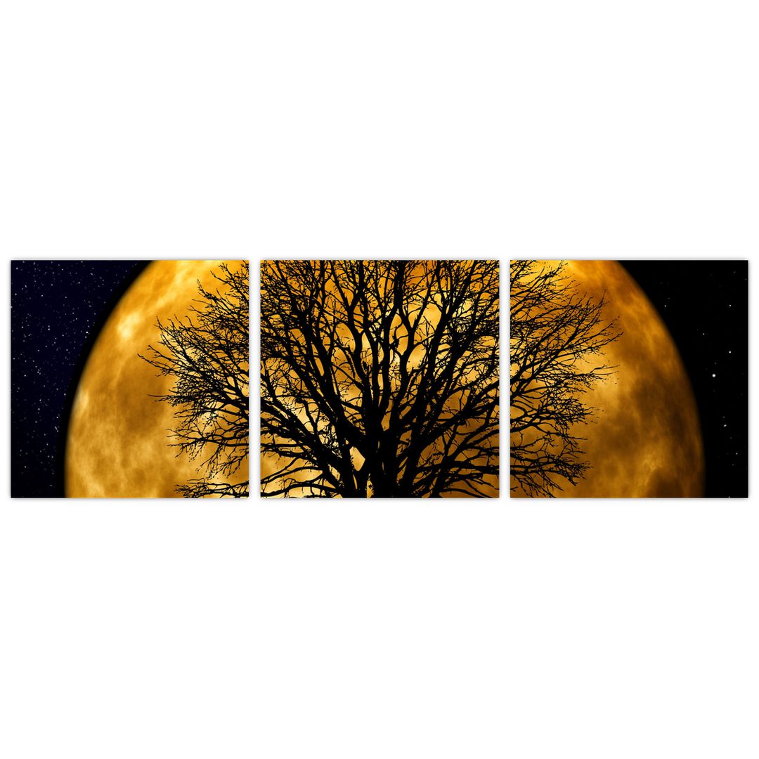 Obraz měsíce a siluet (V020995V9030)