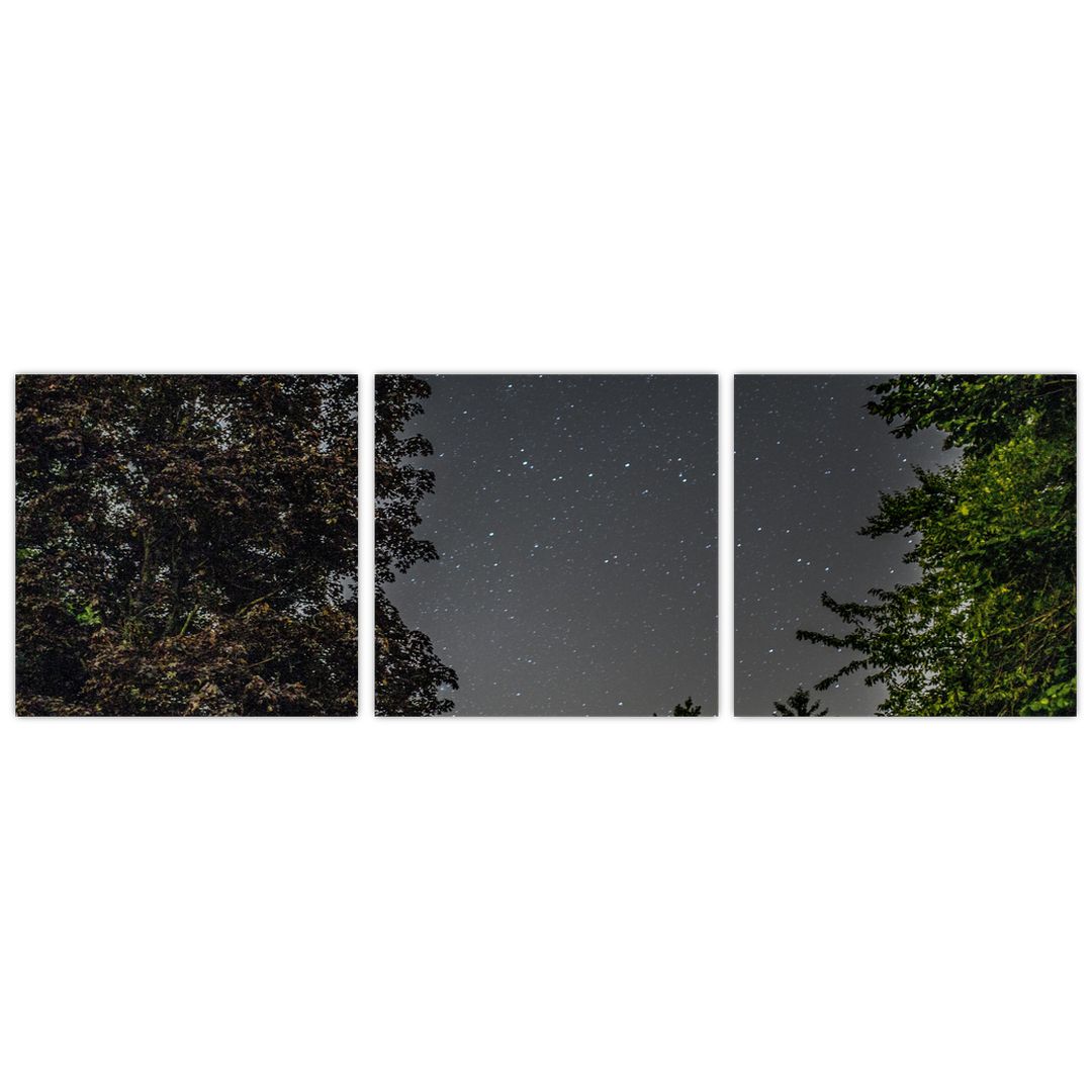 Obraz noční oblohy (V020998V9030)