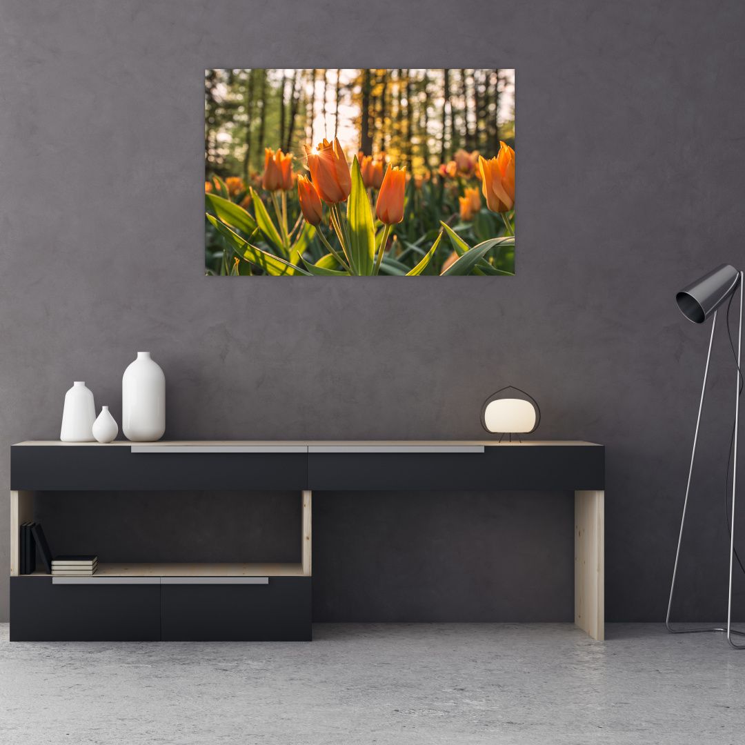 Obraz - oranžové tulipány (V020552V9060)
