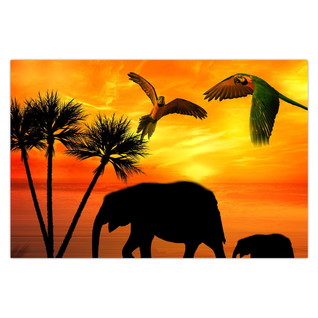 Obraz - papoušci a sloni (V020562V9060)