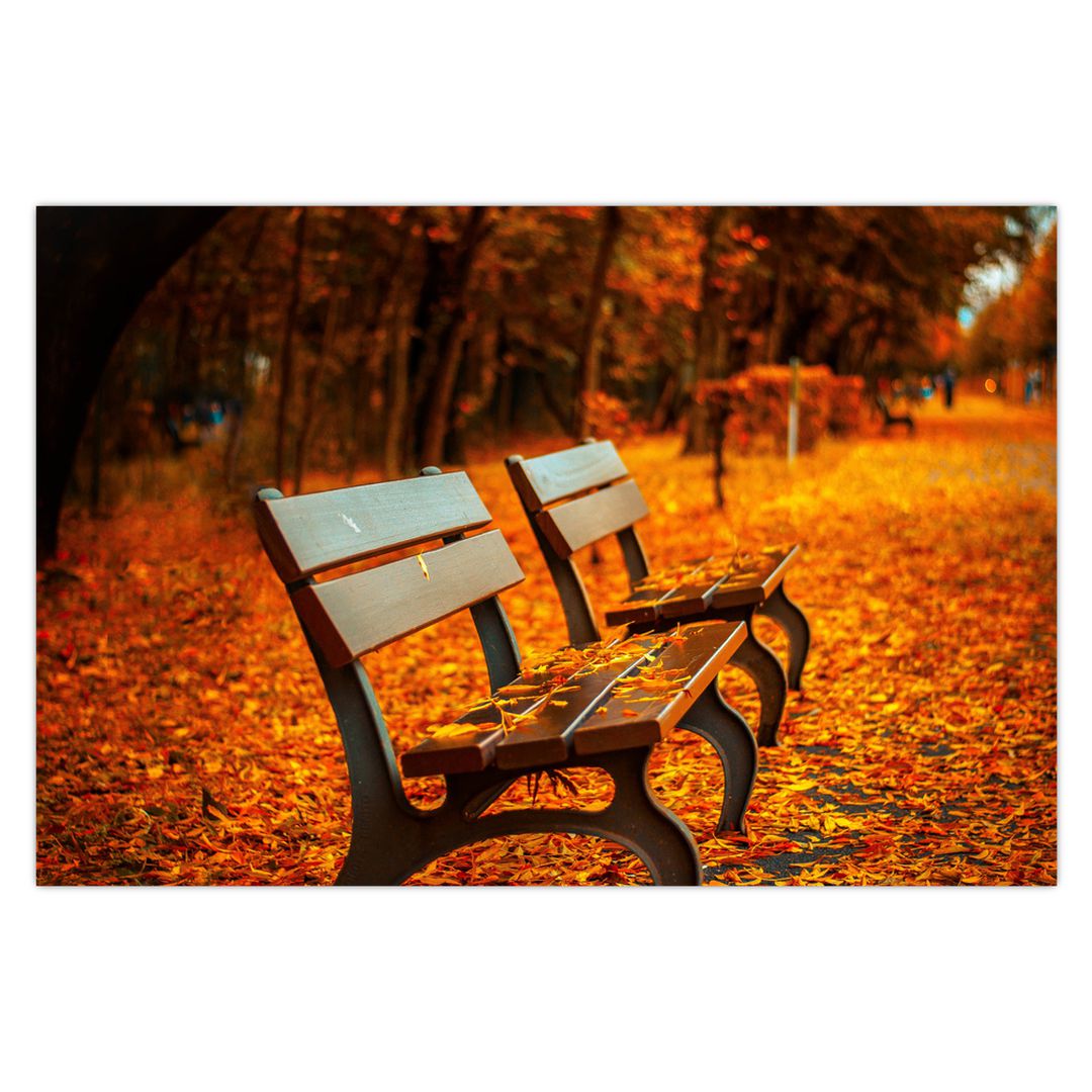 Obraz lavičky v podzimu (V020588V9060)
