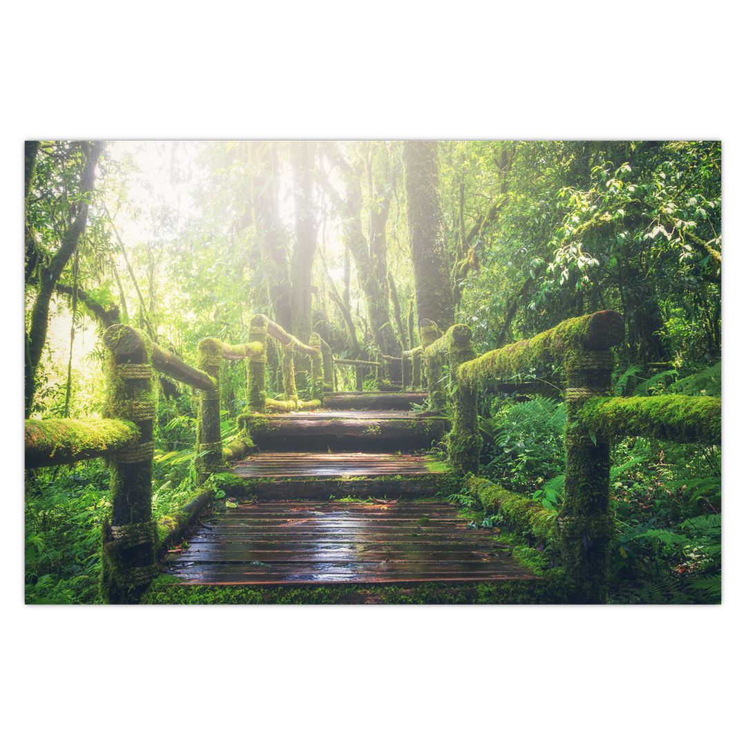 Obraz - dřevěné schody v lese (V020593V9060)