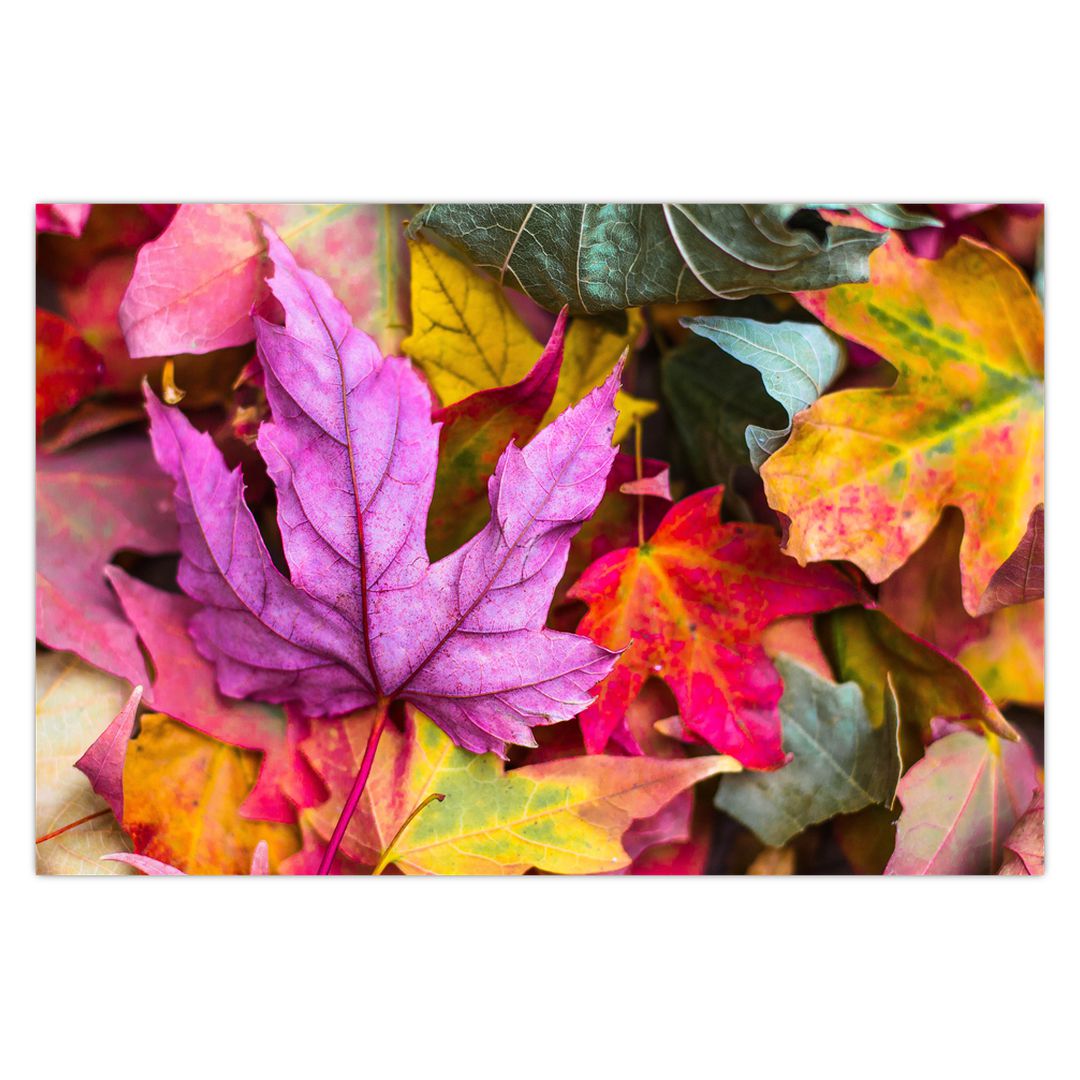 Obraz - podzimní listy (V020629V9060)