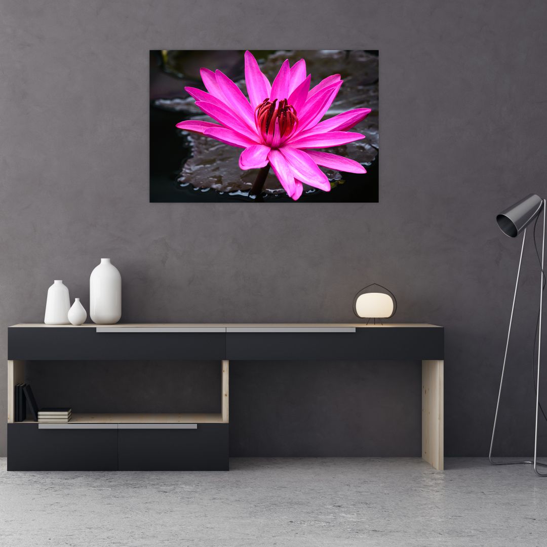 Obraz - růžový květ (V020636V9060)