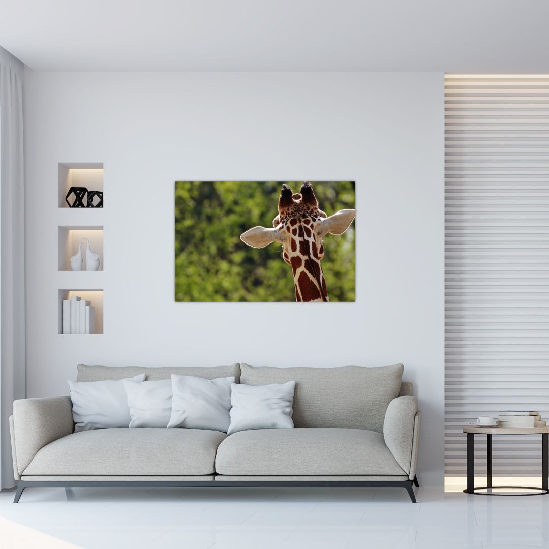 Obraz žirafy zezadu (V020638V9060)
