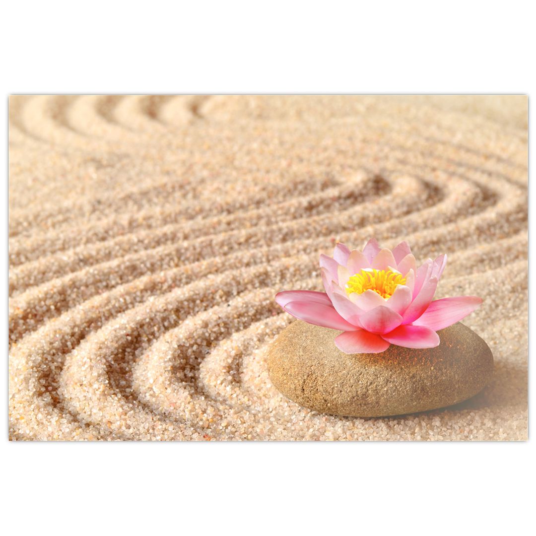 Egy kő, virággal a homokban képe (V020864V9060)