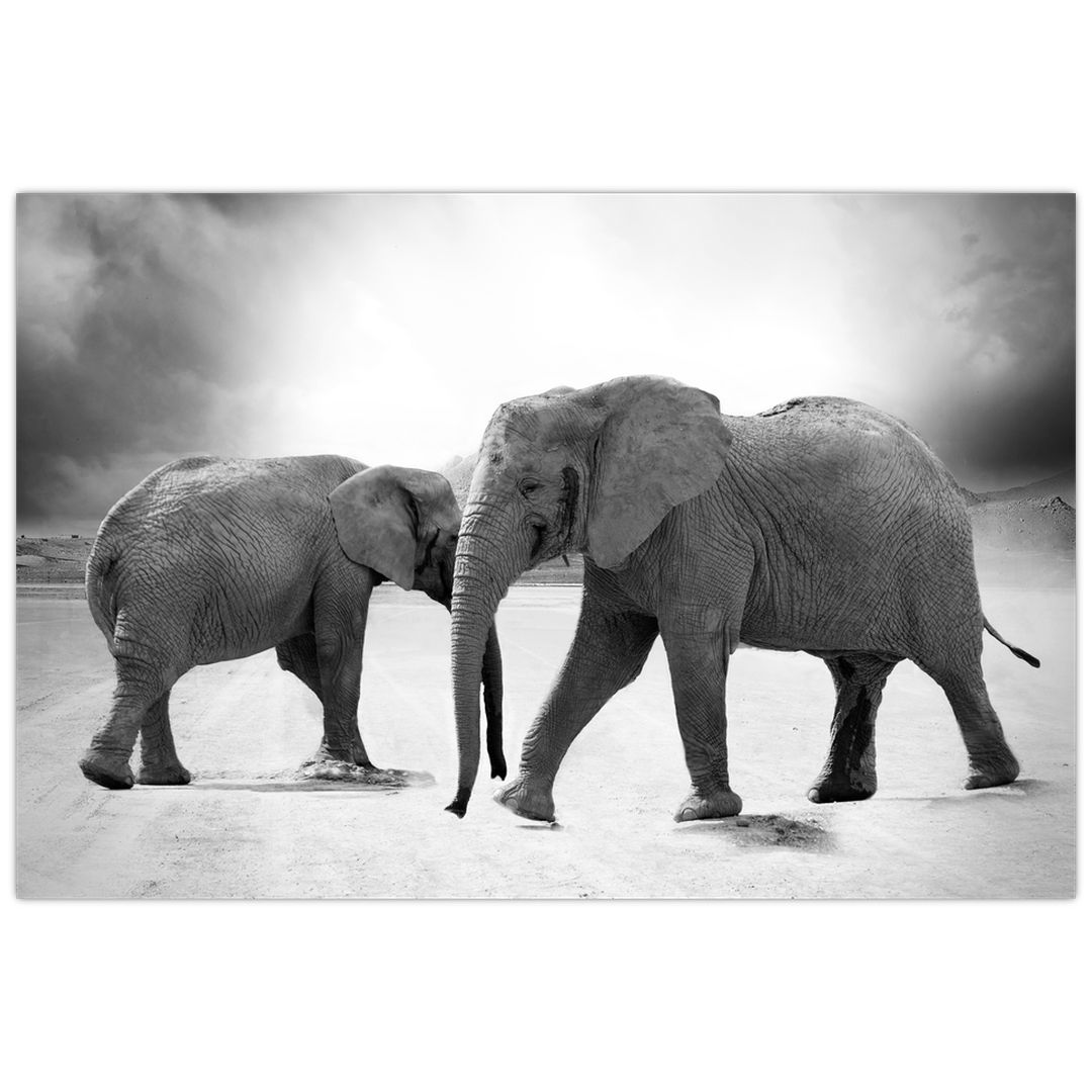 Tablou cu elefanți (V020900V9060)