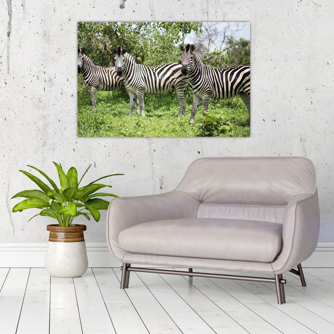 Obraz s zebrami (V020921V9060)