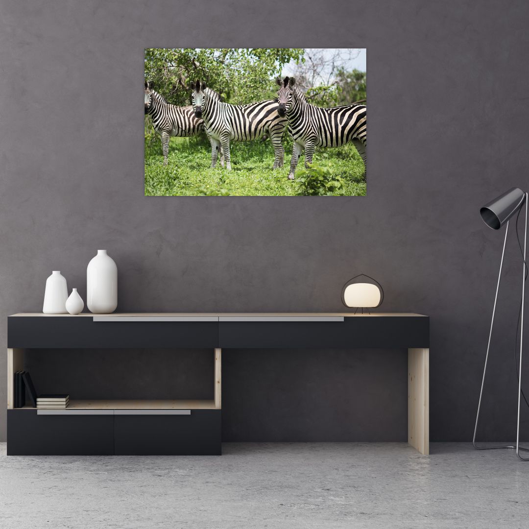 Obraz s zebrami (V020921V9060)