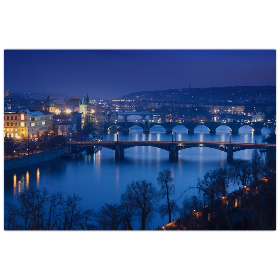 Obraz pražských mostů (V020932V9060)