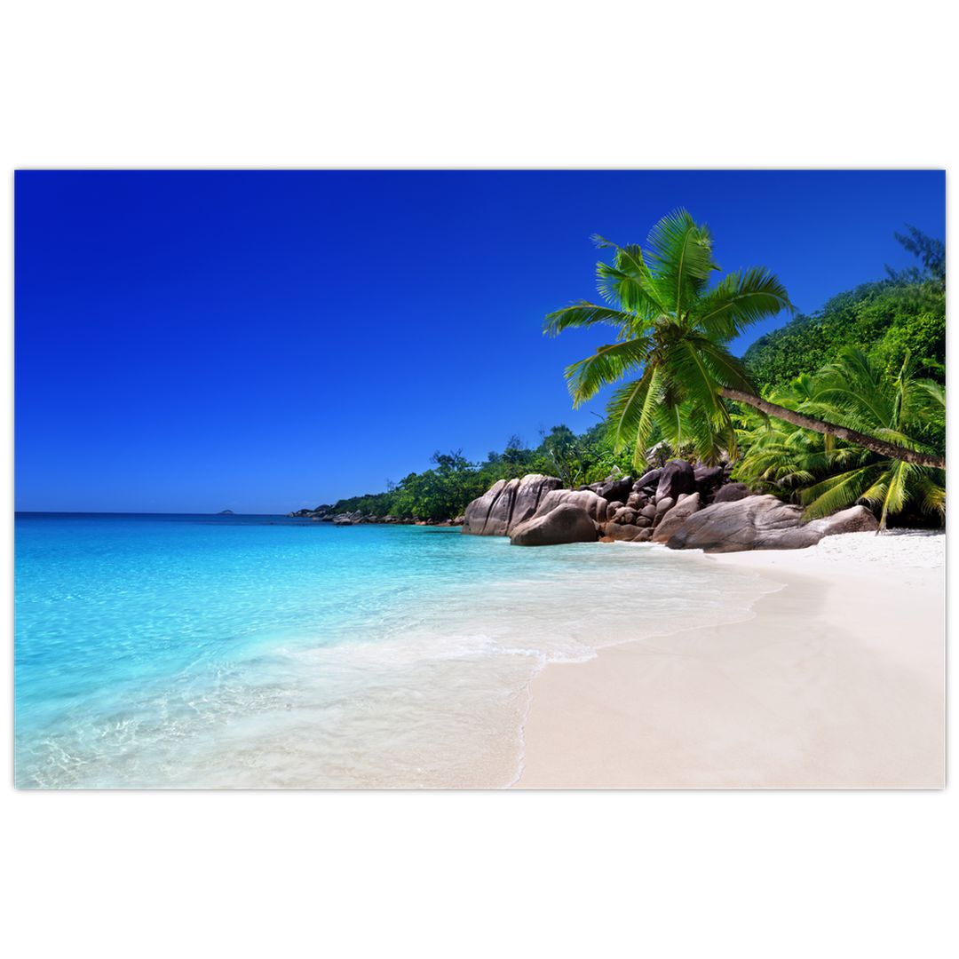 Obraz pláže na Praslin ostrově (V020936V9060)