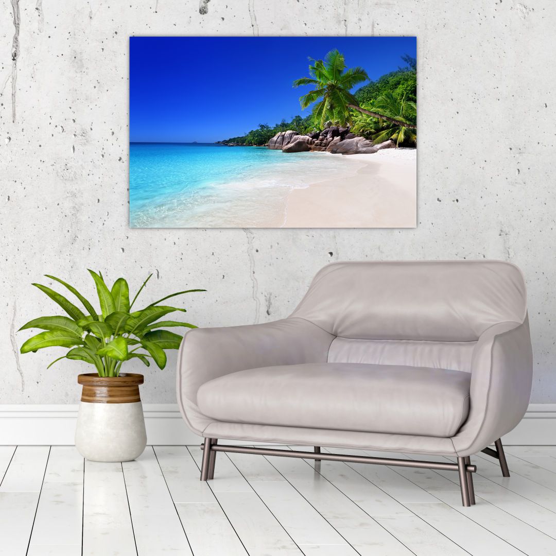 Obraz pláže na Praslin ostrově (V020936V9060)
