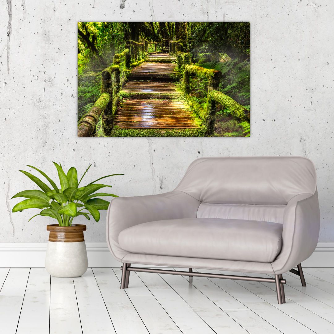 Obraz schodů v deštném pralese (V020941V9060)