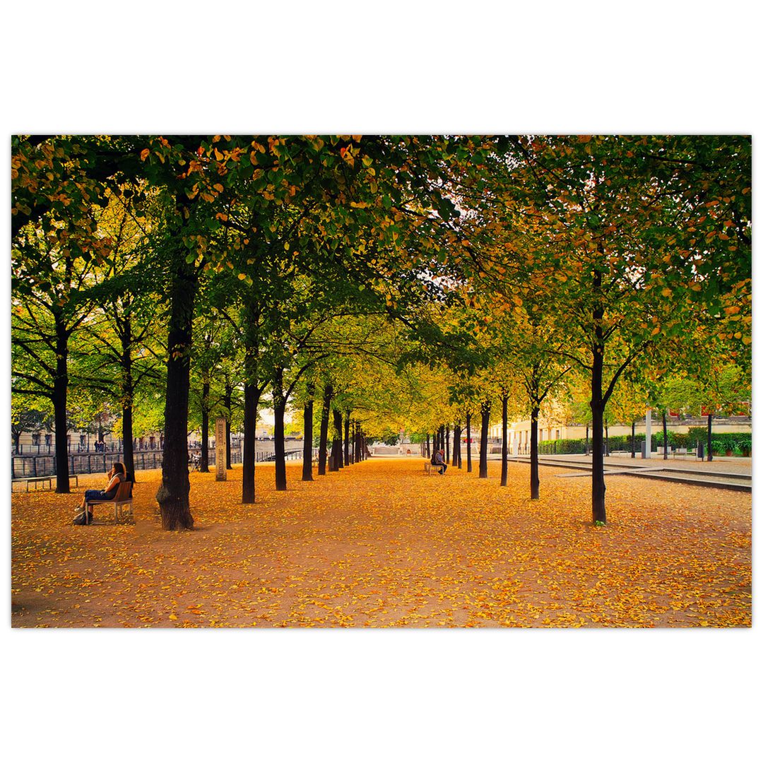 Obraz aleje podzimních stromů (V020953V9060)