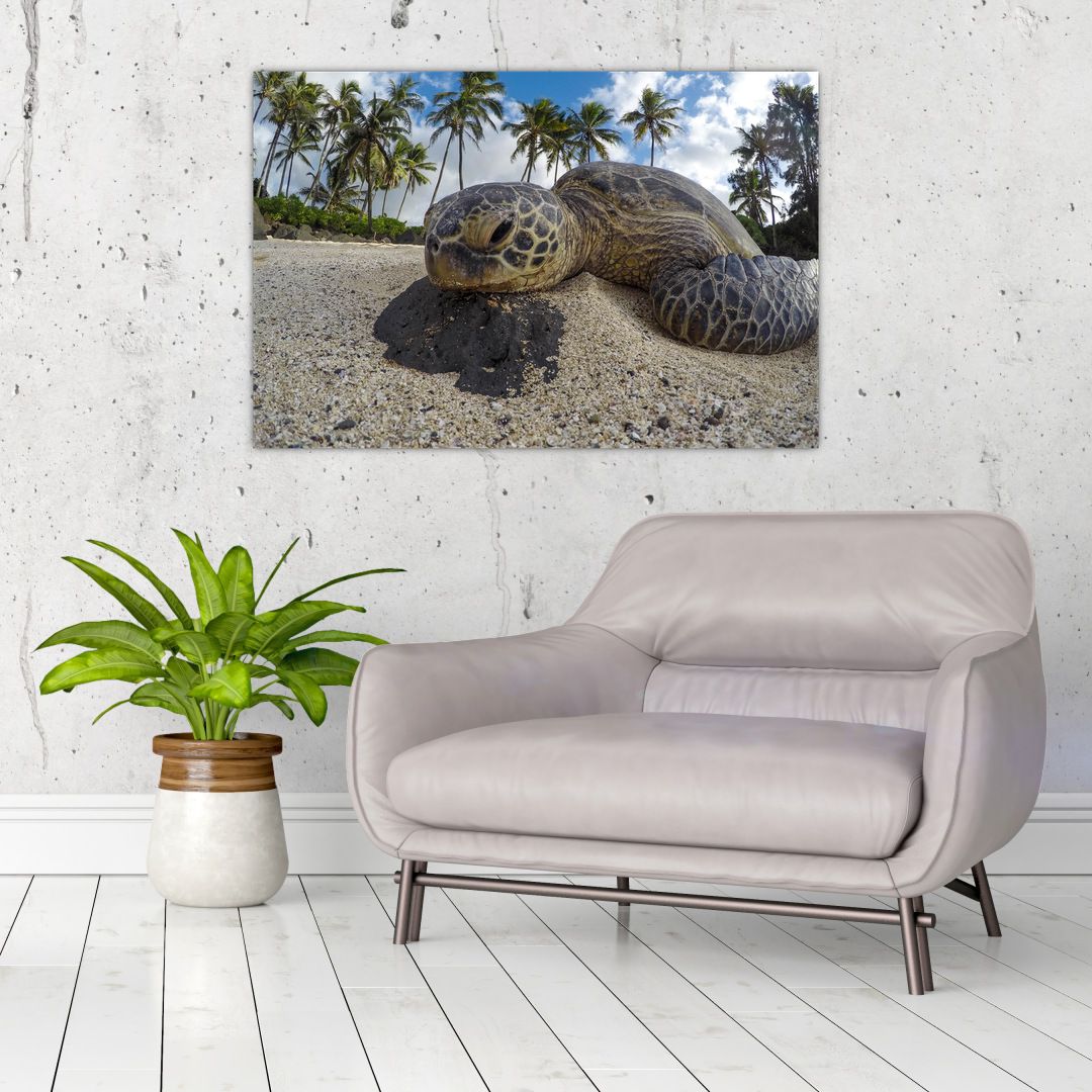 Obraz želvy (V020992V9060)