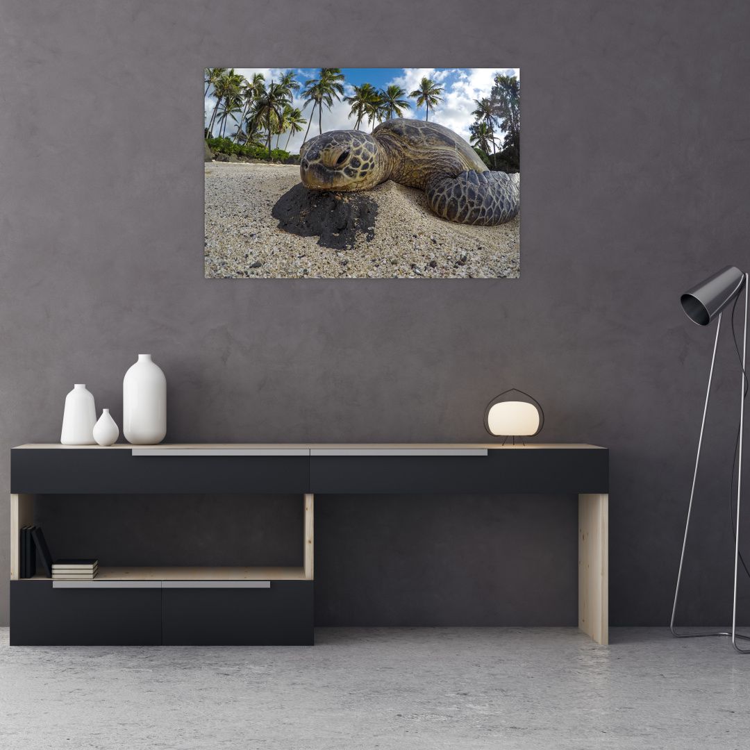 Obraz želvy (V020992V9060)
