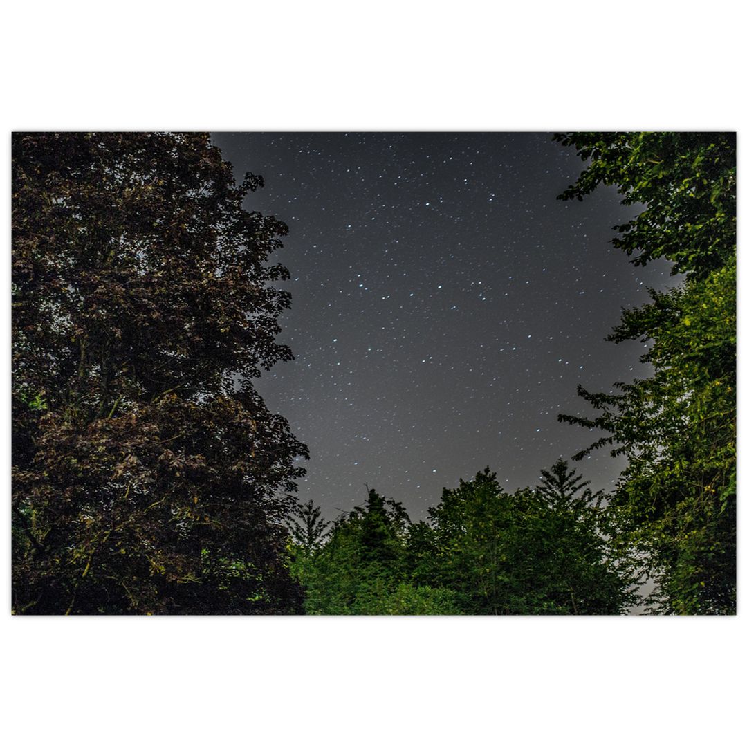 Obraz noční oblohy (V020998V9060)