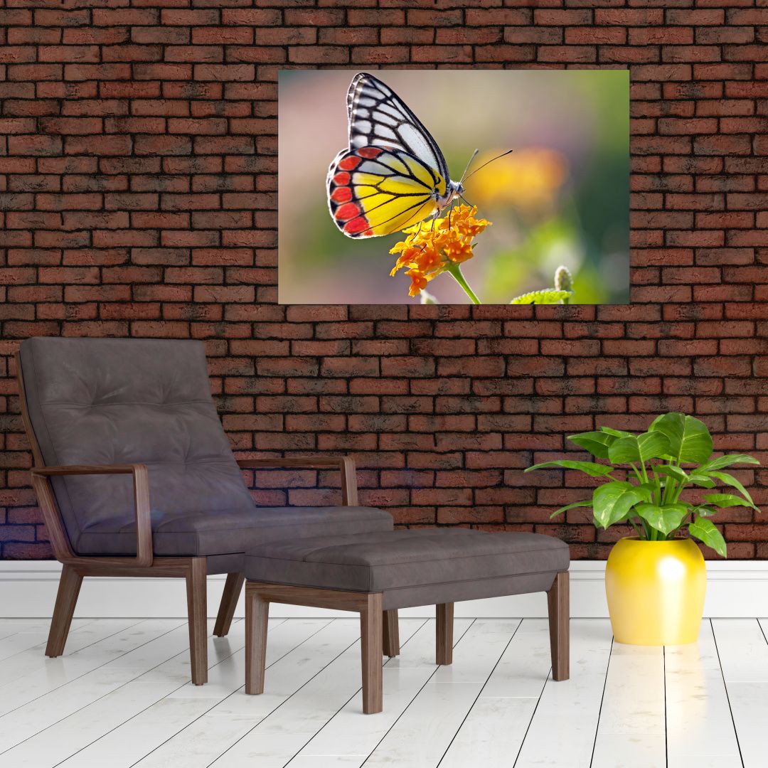 Obraz motýla na květu (V022330V9060)