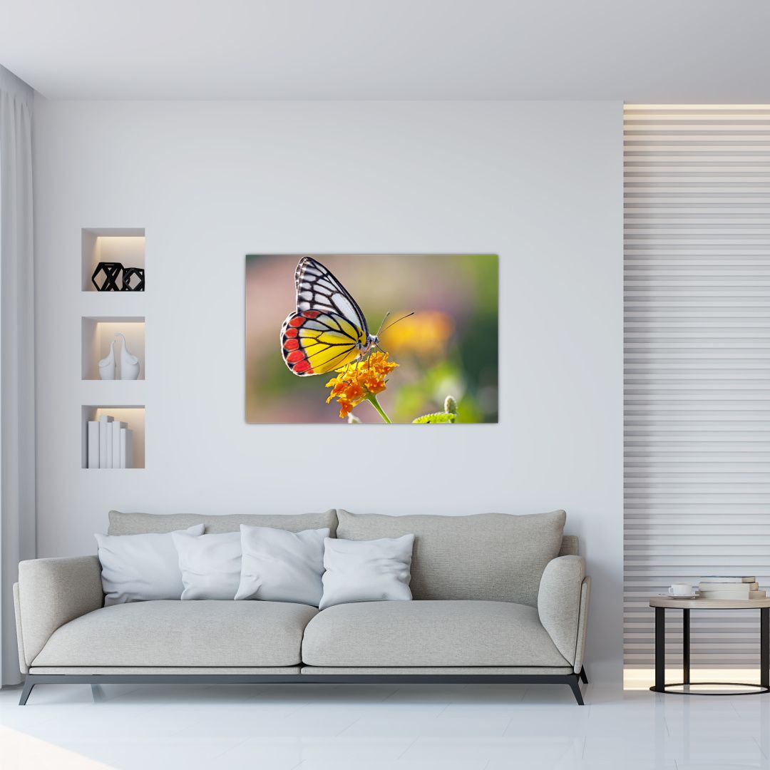 Obraz motýla na květu (V022330V9060)