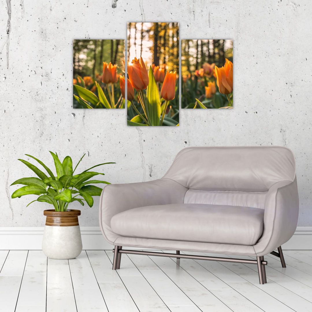 Obraz - oranžové tulipány (V020552V90603PCS)