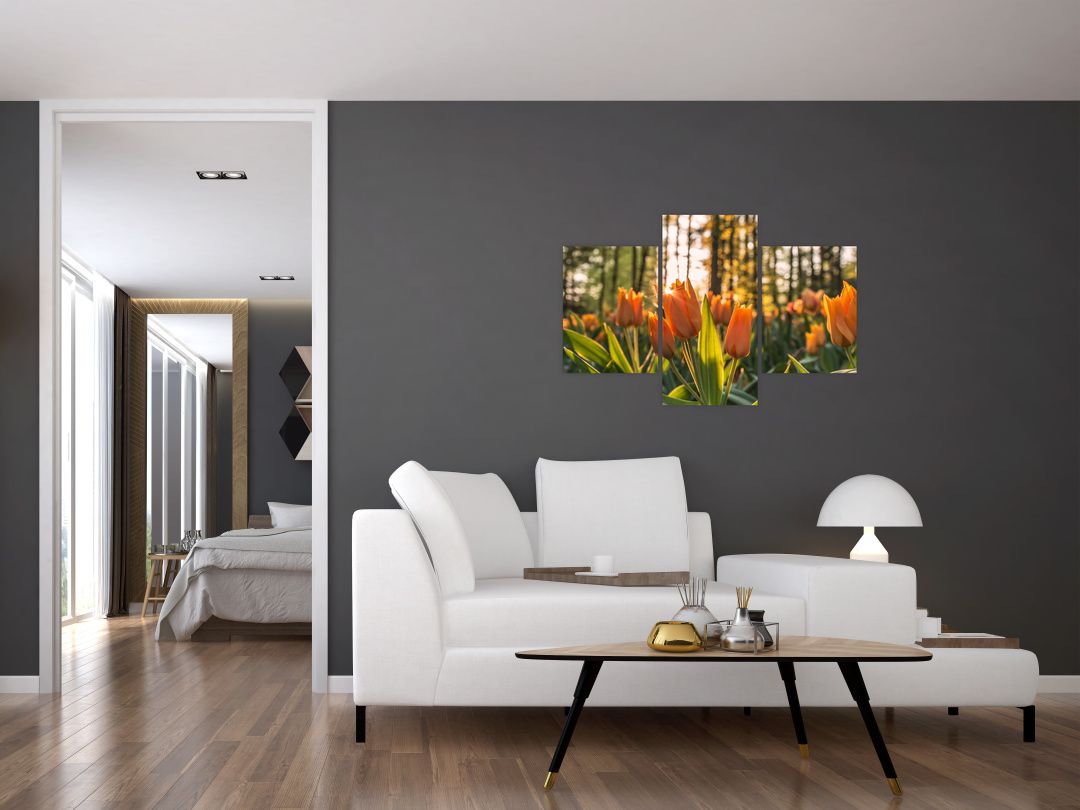 Obraz - oranžové tulipány (V020552V90603PCS)